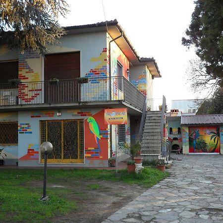 Tropical Bed&Breakfast Lucca Ngoại thất bức ảnh