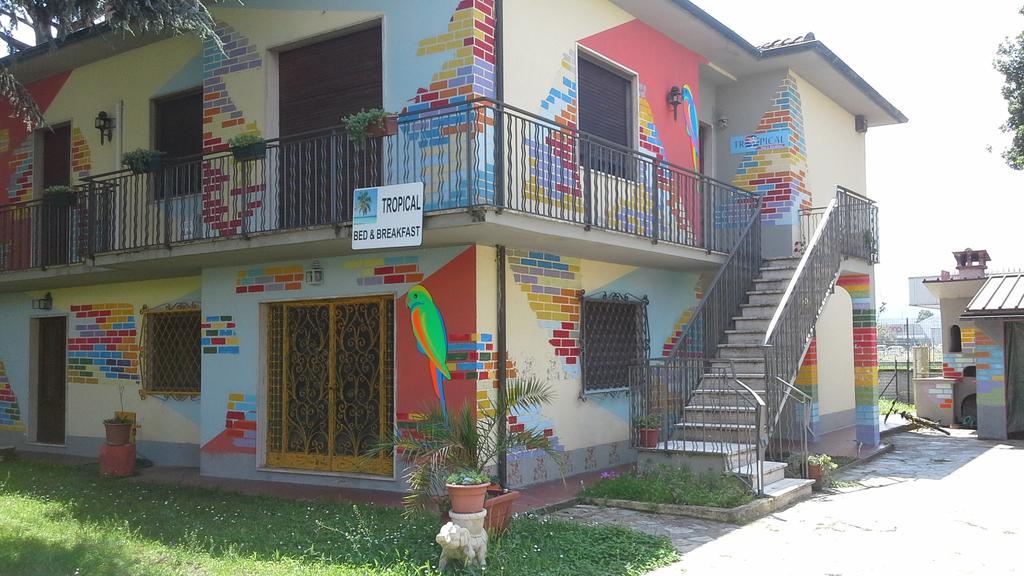 Tropical Bed&Breakfast Lucca Ngoại thất bức ảnh